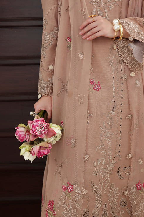 Qalamkar Qline Linen 2025 | KL-14 | DUSK