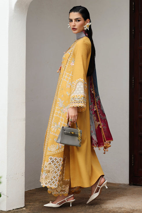 Qalamkar Qline Linen 2025 | KL-06 | GLEAM