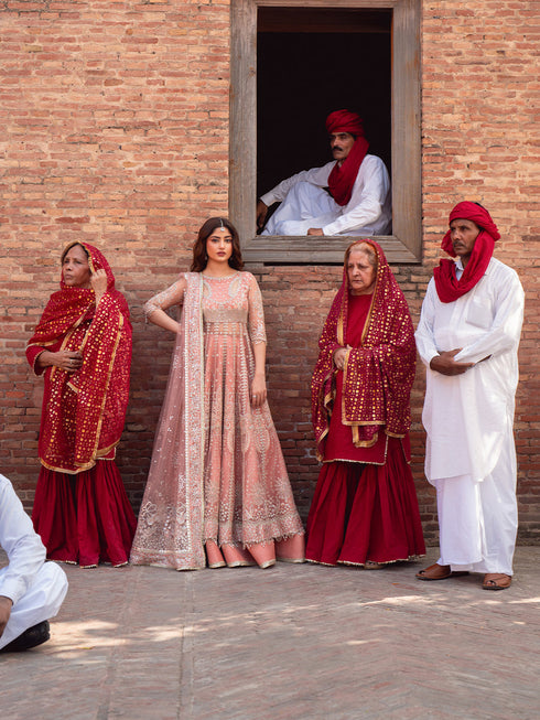 Bin Ilyas Sona Gachi Luxury Wedding Festive Formals – D-604