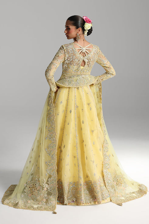 Qalamkar Shadmani Formals 25’| RH-06 HOOR