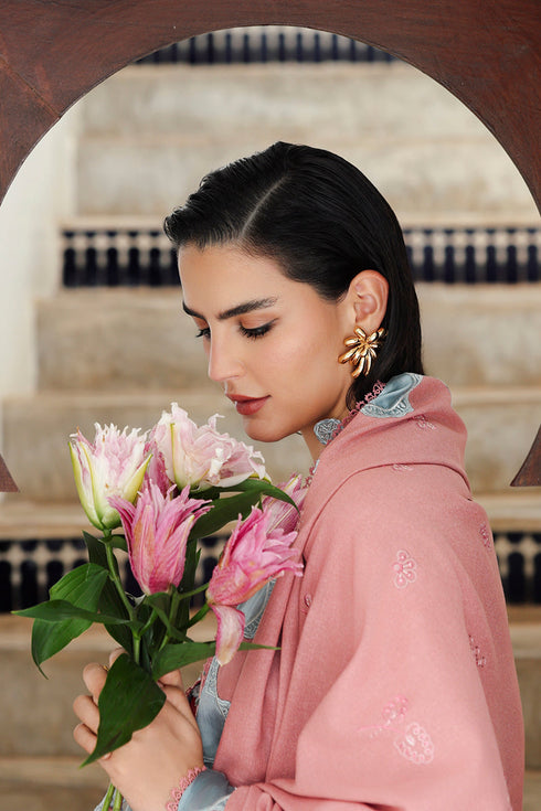 Qalamkar Qline Linen 2025 | KL-10 | FAYE