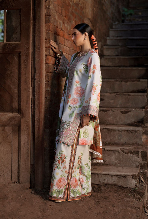 Sard Sham Winter Collection by AJR|Zaib