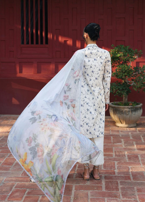 Q Prints by Qalamkar | Lawn 2026 | Aerin