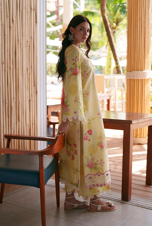 AJR Printed Chikankari 2026 | Feya