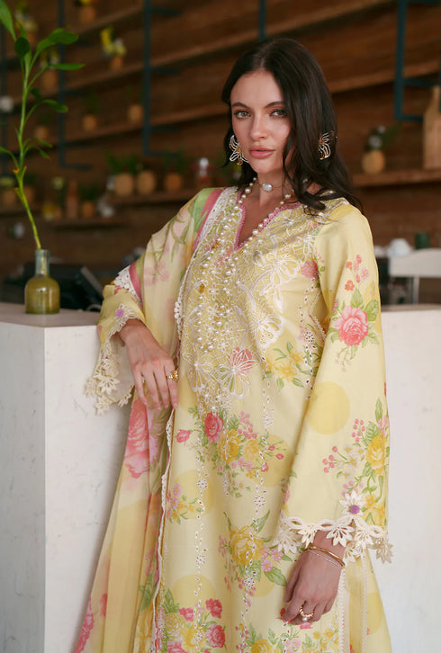 AJR Printed Chikankari 2026 | Feya
