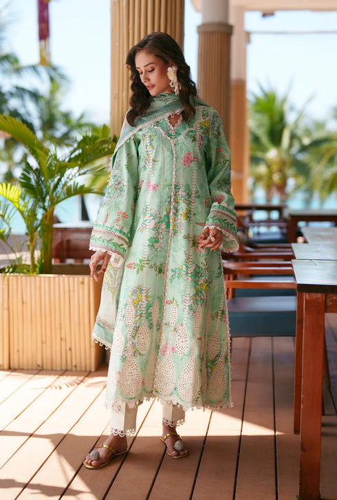 AJR Printed Chikankari 2026 | Eliya