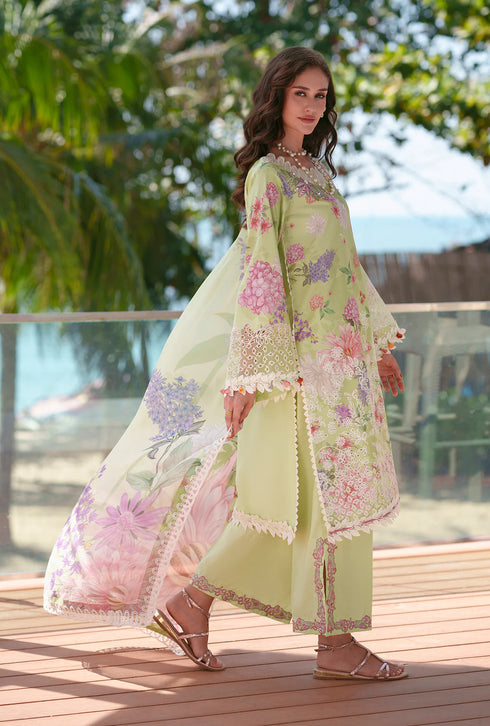 AJR Printed Chikankari 2026 | Riwa
