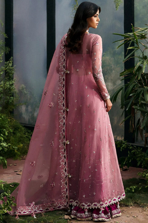 Afrozeh La Fuchsia ’25 Party Collection - Seraira