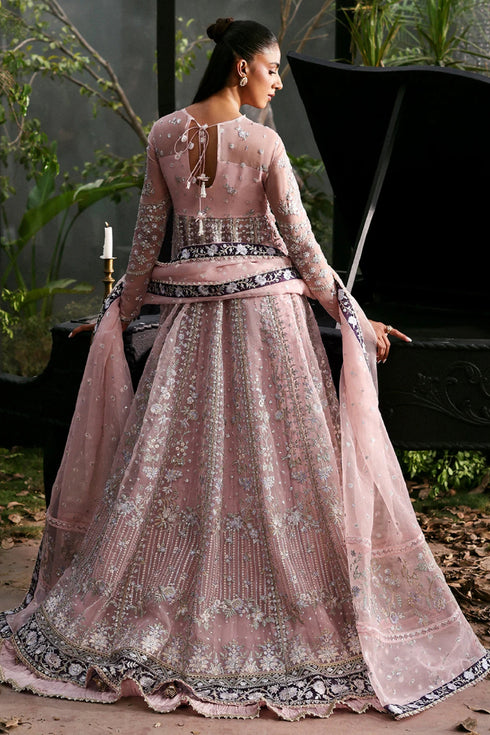 Afrozeh La Fuchsia ’25 Party Collection - Zeal