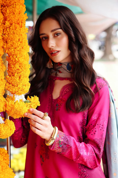 Aniq Vol-01 2025 Fall Winter - ANW6-06